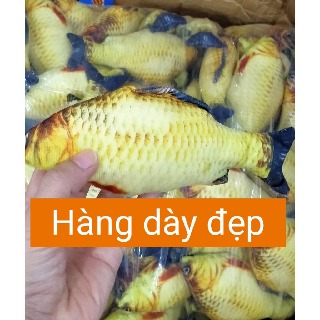 Cá nhồi bông 3D cao cấp sống động như thật có cỏ capnit khiến mèo thích mê