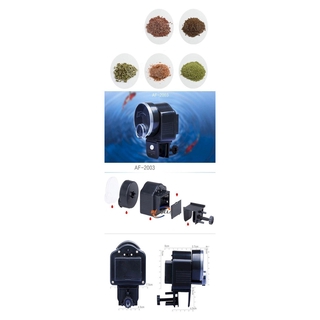 Máy cho cá ăn tự động