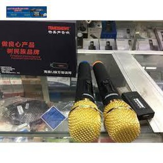 BỘ MICRO KHÔNG DÂY TEMEISHENG W48 2MICRO