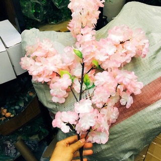 Cành hoa anh đào Nhật Bản giả