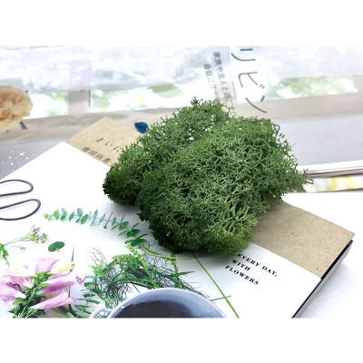 Rêu Các Màu Làm Trang Trí Handmade [MỚI]