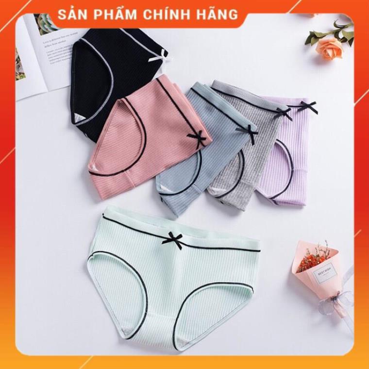 Quần Lót Cotton Tăm Viền Kẻ Phối Nơ Cao Cấp 028