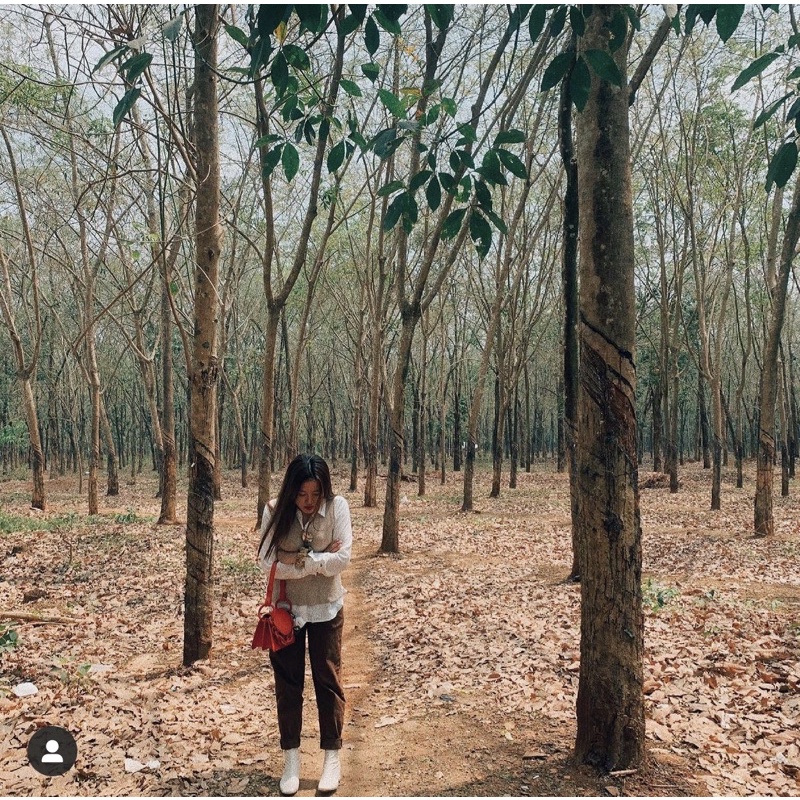 Áo len cộc tay Tag.ins