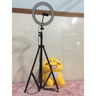 Bộ ĐÈN LIVE STREAM Size 26cm ( cao 2m1 )