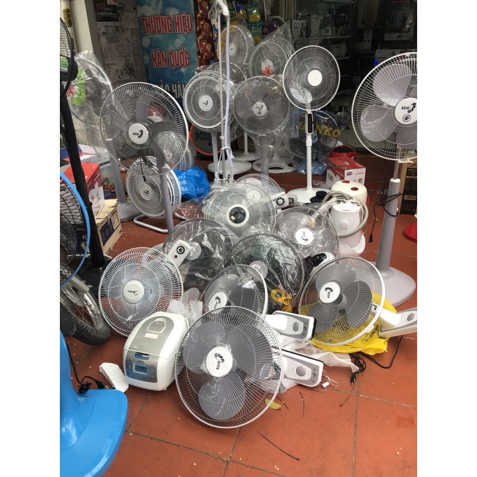 Quạt cây Asia D16018-BV0