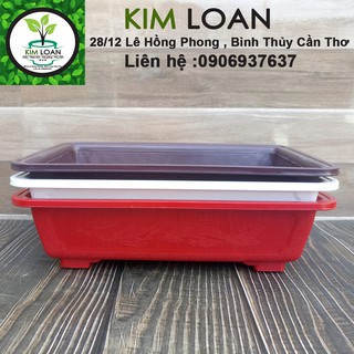 Combo 2 chậu nhựa bonsai chữ nhật 30x20x8cm