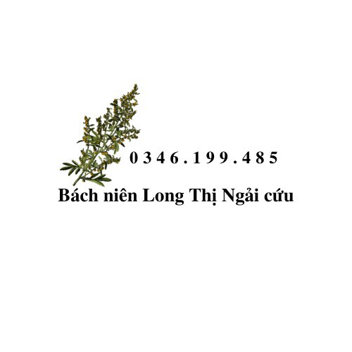 BÁCH NIÊN LONG THỊ NGẢI CỨU