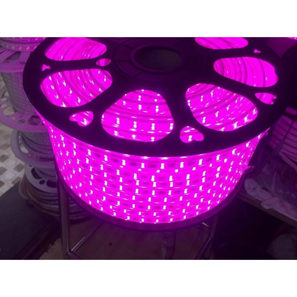 CUỘN LED 220V 100m DÂY ĐÔI 2835 120b/mét chống nước trang trí nhà hàng hắt trần nhà quoắn cây cam kết giá rẻ nhất
