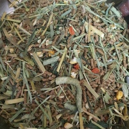 Thức ăn cho Thỏ toàn diện chống cầu trùng, tiêu chảy khử mùi hôi