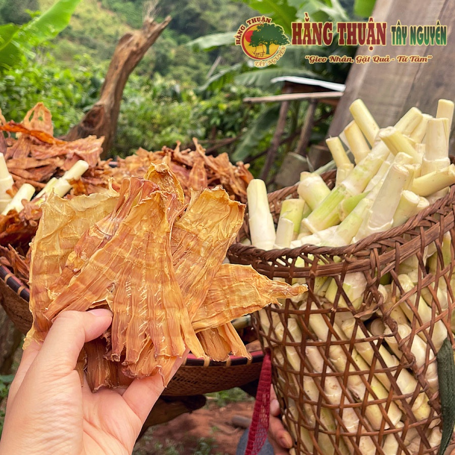 MĂNG KHÔ RỪNG KON TUM