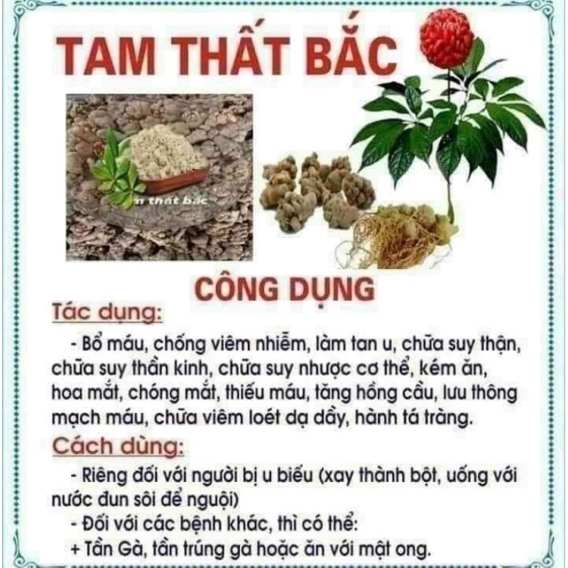 Bột Tam Thất Bắc