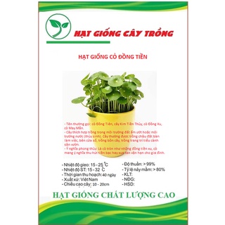 Hạt giống cây cỏ đồng tiền ct227 - gói 50 hạt