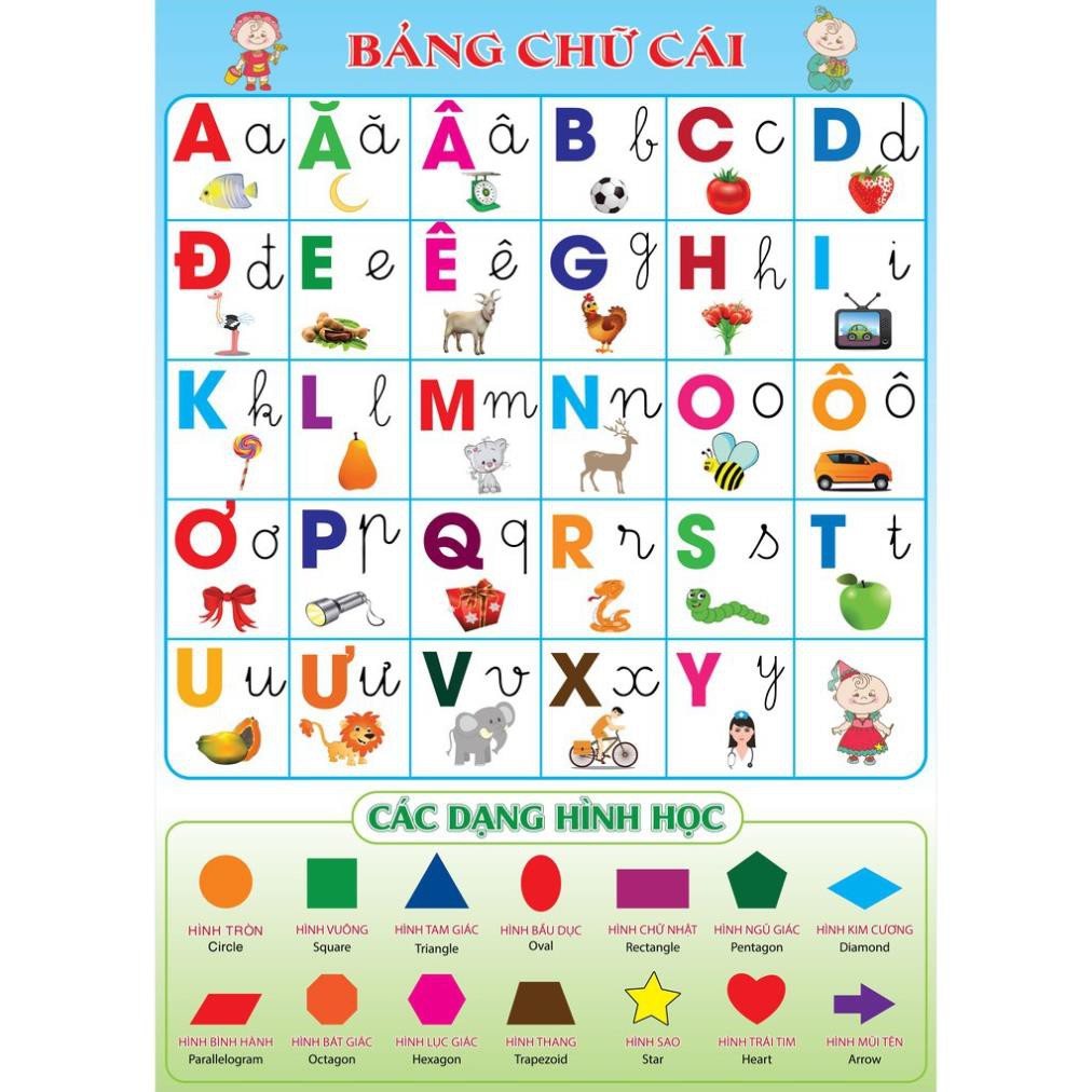 Bảng chữ cái cho bé bằng Chất liệu in PP ( nhựa) , cán màng bóng đẹp, (50×70cm) chữ viết hoa và viết thường có nẹp sẵn