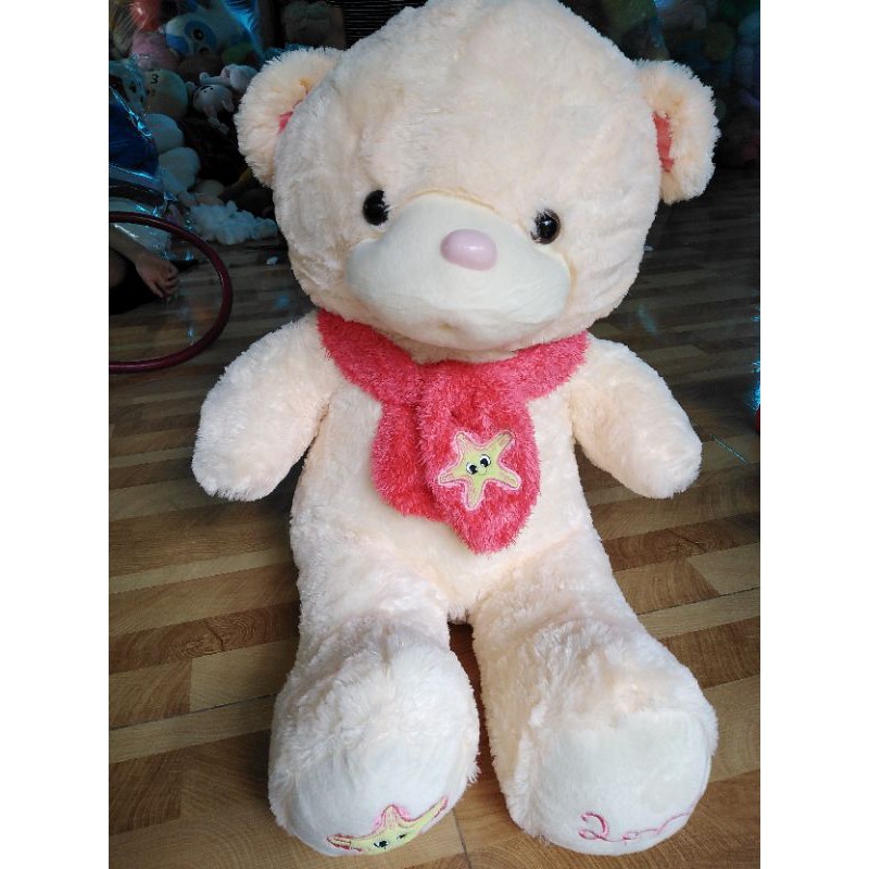 Gấu teddy ngồi cao 50cm