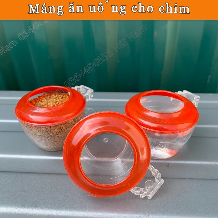 Cóng ăn uống cho chim chào mào,chích chòe, yến hót - Chất liệu nhựa