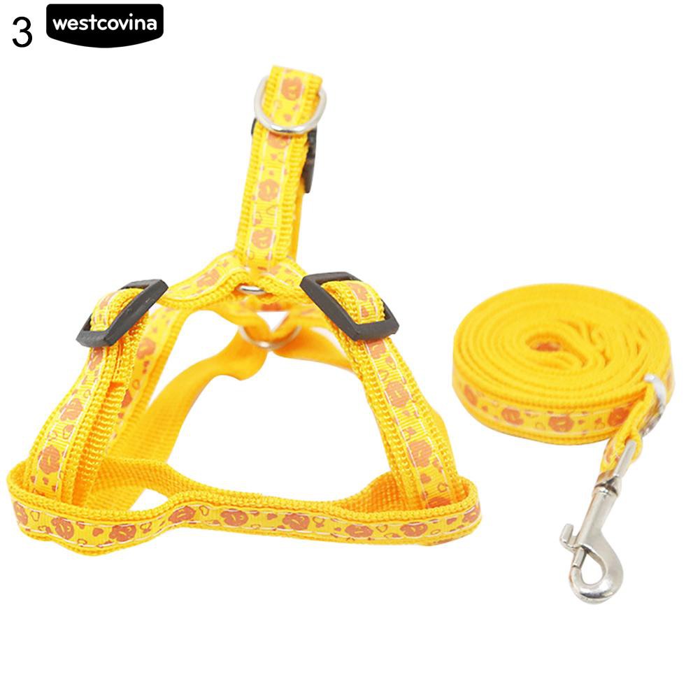 Dây Dắt Chó Đi Dạo Tiện Lợi Màu Sắc Sặc Sỡ