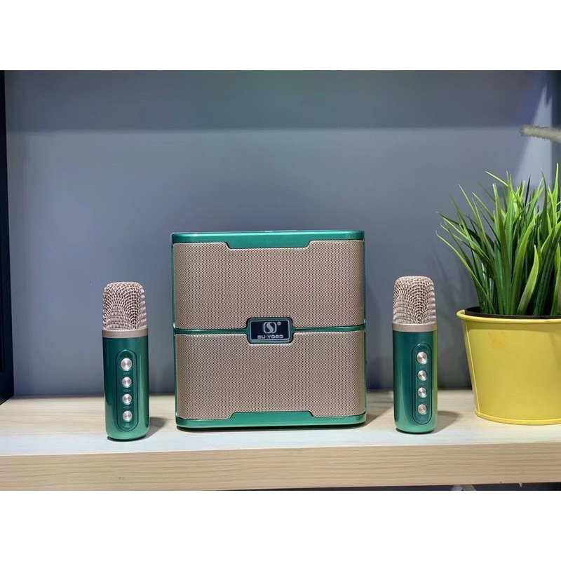 Loa Bluetooth Karaoke YS-213 Tặng Kèm 2 Micro Không Dây Tích Hợp Hiệu Ứng Năng Giọng Như Ca Sỉ