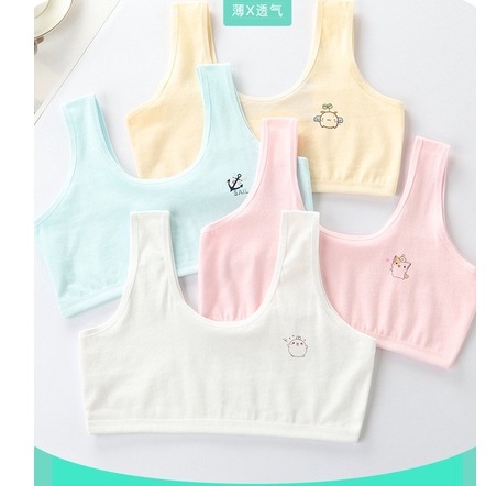 Áo lá học sinh cấp 1, cấp 2 - không mút, vải cotton - Danangsale
