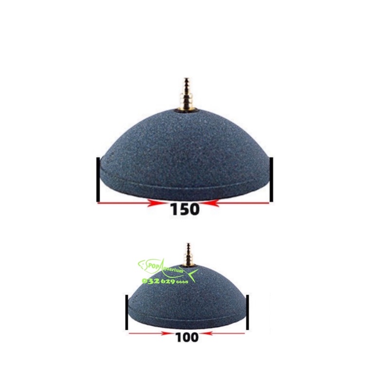 Đĩa sủi oxy bánh bao