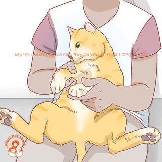 Kéo cắt móng cho mèo