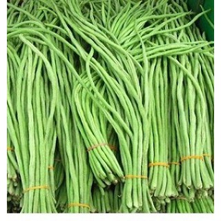 Hạt giống Đậu Đũa