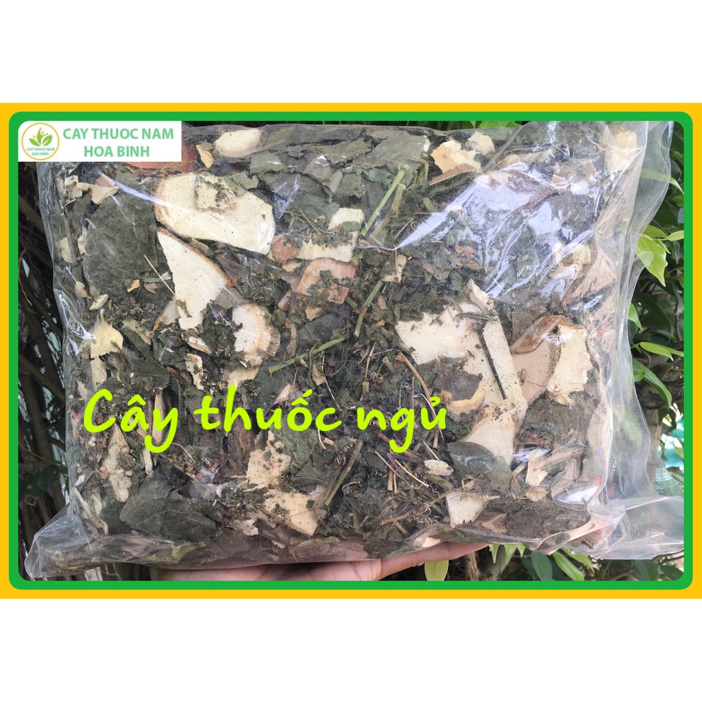 1kg CÂY THUỐC NGỦ an thần giấc ngủ ngon ngủ sâu