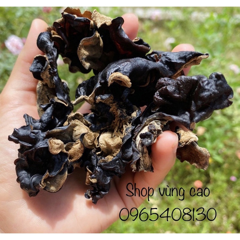 Mộc Nhĩ Rừng ( hay còn gọi là nấm mèo ) siêu dày thịt