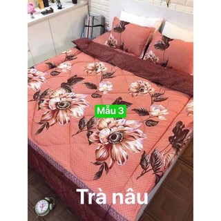GA GIƯỜNG COTTON BỘ GỒM ( 1 GA + 2 VỎ GỐI NẰM )