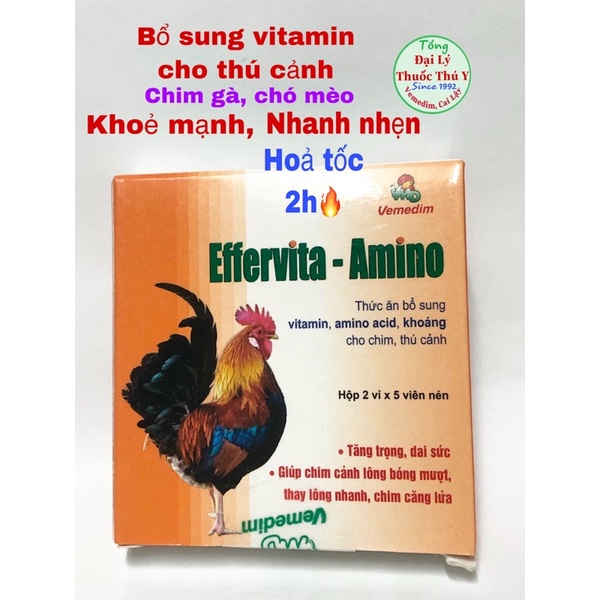 (Hộp 10viên)Amino- Vitamin tổng hợp dành cho chim gà cảnh, thú cảnh: chó mèo bổ sung vitamin, tăng cường hệ miễn dịch