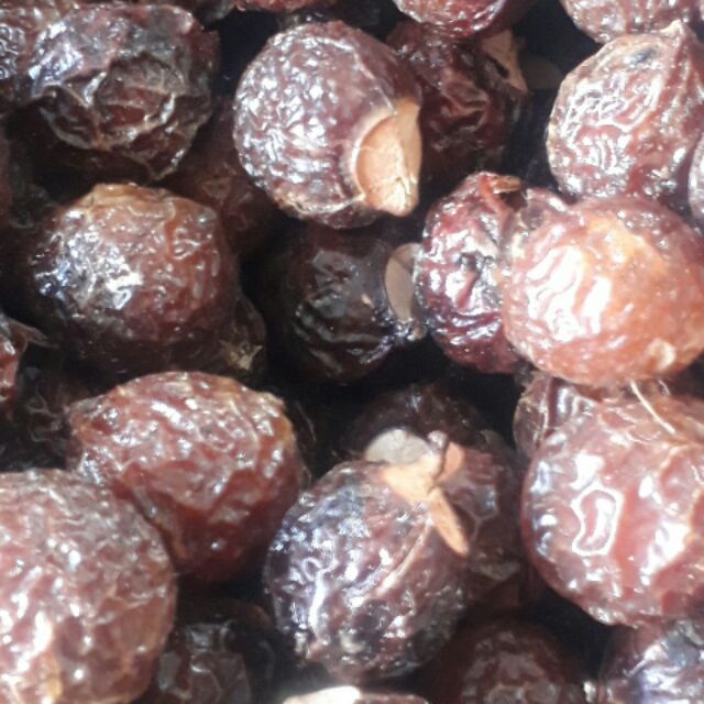 BỒ HÒN LOẠI 1