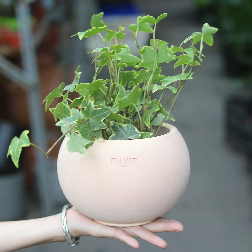 Chậu đất nung ENVIE bầu tròn, miệng chậu 13cm