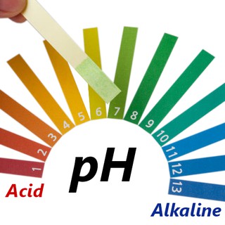 Giấy Quỳ Tím Đo pH - Gói 80 Tờ