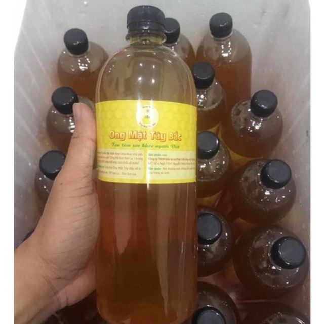 MẬT ONG RỪNG NGUYÊN CHẤT (Mật ong khoái, Mật ong ruồi, Mật ong đá) TÂY BẮC (Đã vắt - 1 lít) (Hàng đặt)