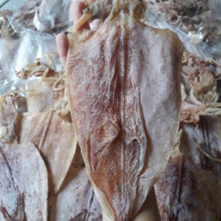 2 con mực lớn dày mình như hình