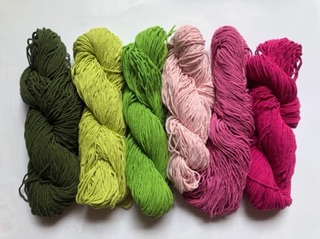 cotton thái