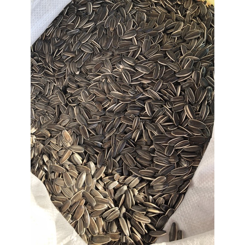 Hướng dương loại 1 [ 1kg]