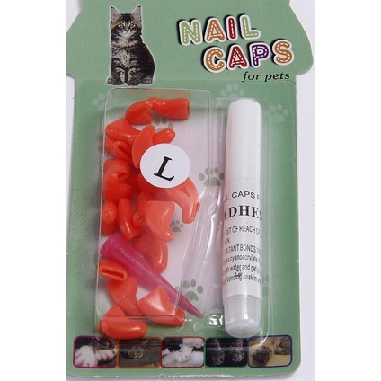 Bộ 20 Cây Dũa Móng Tay Cho Mèo