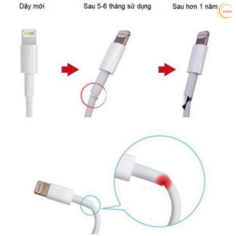 Thú Bảo Vệ Đầu Cáp Sạc, Nút Dây Tai Nghe Hình Thú Hàng Chuẩn Đẹp Nhiều Mẫu Giao Ngẫu Nhiên [SKY]