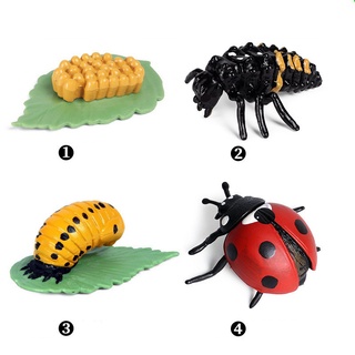 Bộ Đồ Chơi 4 Món GOROCK Hình Bọ Cánh Cứng Cho Bé