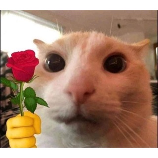 nhvdg77