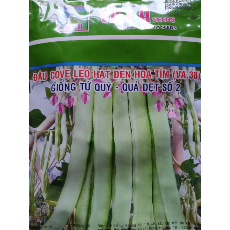 đậu cove leo hạt đen hoa tím giống tứ quý gói 50g