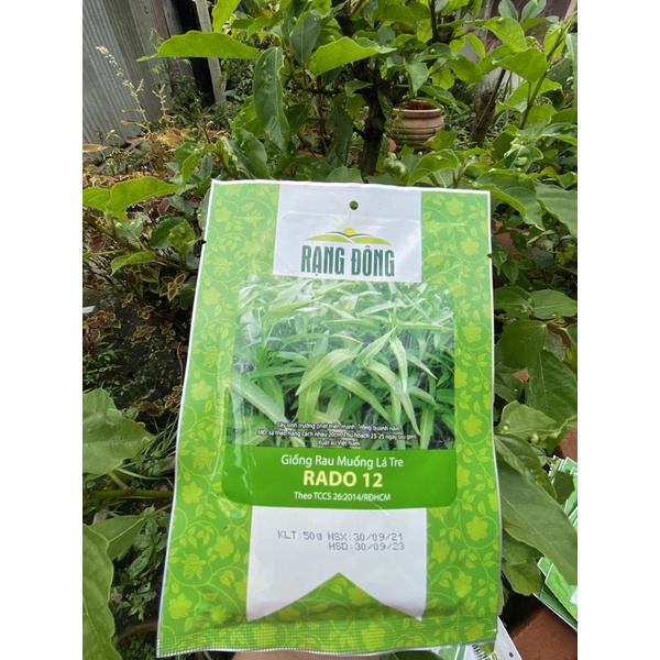 [Rạng đông] Hạt giống rau muống lá tre