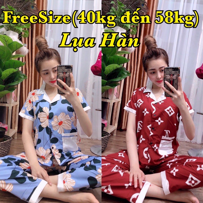 ( Freesize Lụa ) Đồ Bộ Pijama Lụa Phối Dài Cộc ( P2 )