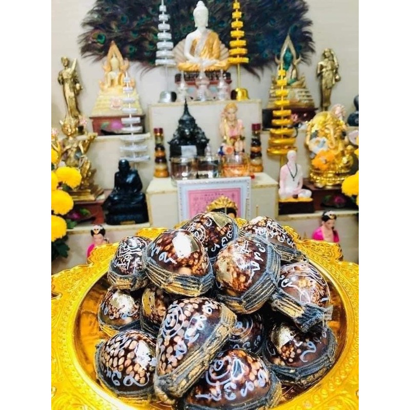 PHÉP ỐC MANG LẠI MAY MẮN | BigBuy360 - bigbuy360.vn