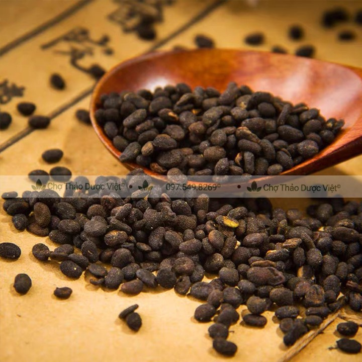 Phá Cố Chỉ 500g (Bổ Cốt Chỉ)
