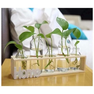 ❤️kệ gỗ và 5 lọ hoa trang trí homedecor cao cấp