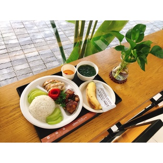 Đĩa bã mía Gracz phân hủy hoàn toàn (50 cái/gói )