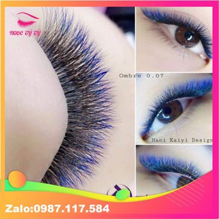 Mi omber 6 màu Cc007  [10 đến 15]