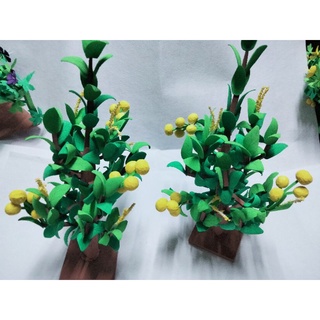 Cây đu đủ.các loại cây. mỗi cây29k