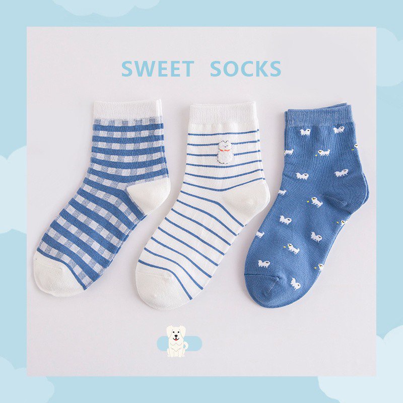 Set 3 đôi vớ nữ cổ cao hàn quốc xanh trẻ trung cao cấp Muzini TN93